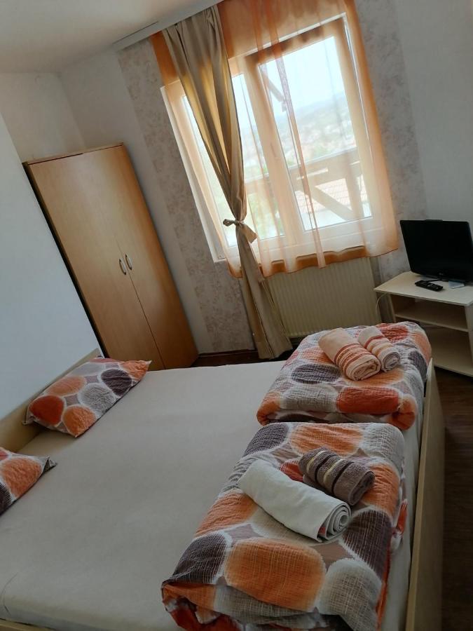 Apartmani Milosavljevic Sokobanja Zewnętrze zdjęcie