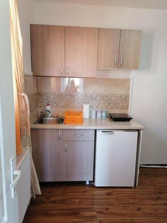 Apartmani Milosavljevic Sokobanja Zewnętrze zdjęcie