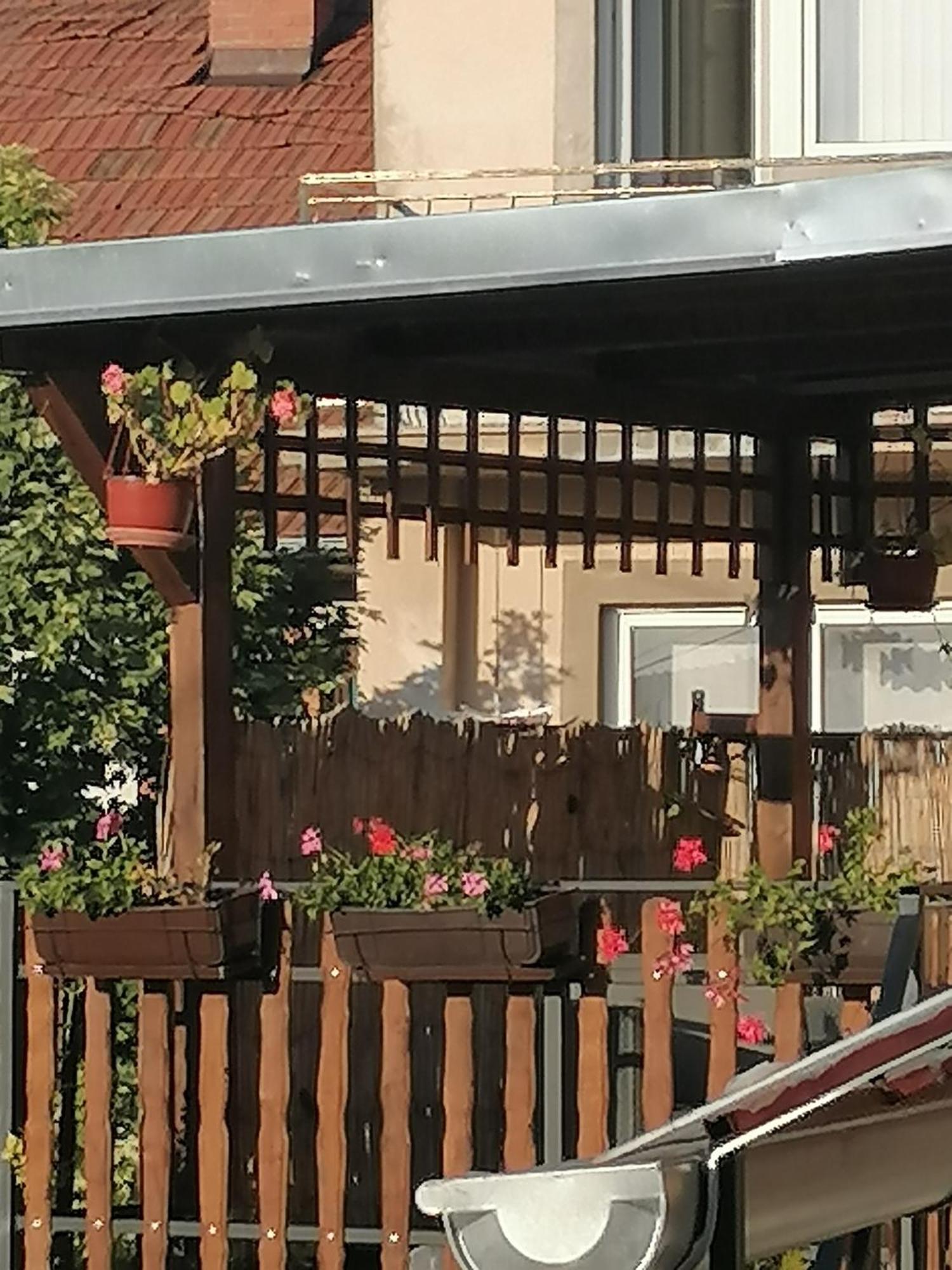 Apartmani Milosavljevic Sokobanja Pokój zdjęcie