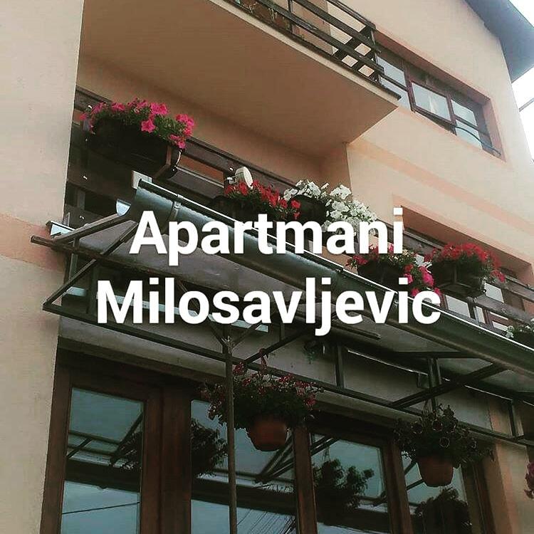 Apartmani Milosavljevic Sokobanja Zewnętrze zdjęcie