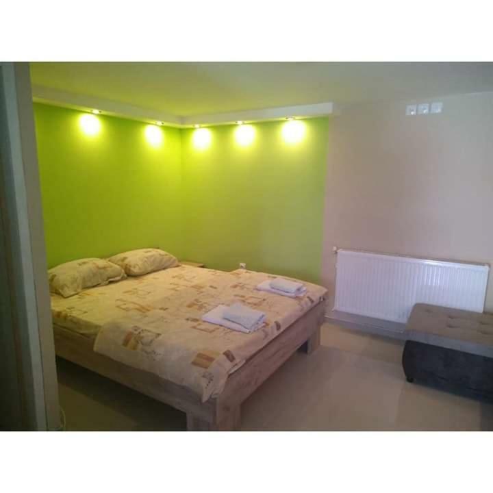 Apartmani Milosavljevic Sokobanja Zewnętrze zdjęcie