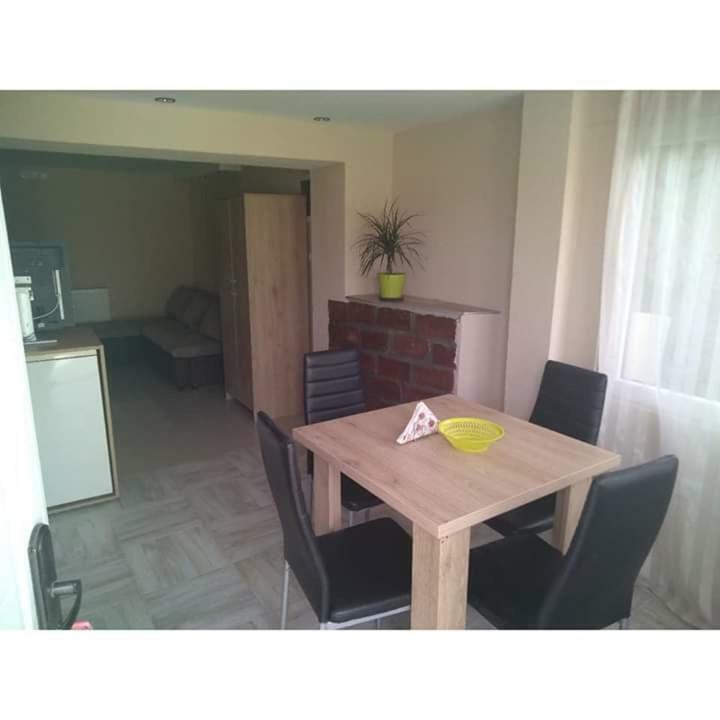 Apartmani Milosavljevic Sokobanja Zewnętrze zdjęcie