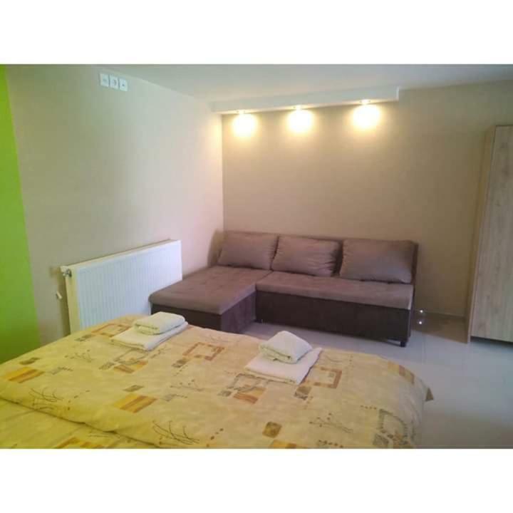 Apartmani Milosavljevic Sokobanja Zewnętrze zdjęcie